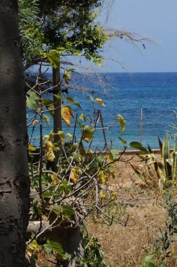 Vila Casa Solaria Con Ampio Giardino Sul Mare San Vito Lo Capo Exteriér fotografie