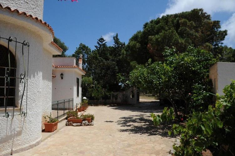 Vila Casa Solaria Con Ampio Giardino Sul Mare San Vito Lo Capo Exteriér fotografie